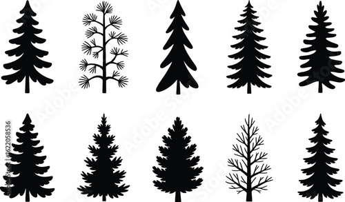 Evergreen trees silhouettes pine trees fir trees