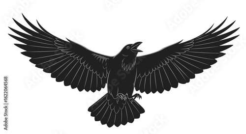 Majestic black bird with wings spread wide open in flight against a white background symbolizing freedom and power