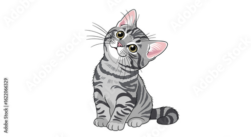 Adorable baby kitten sitting and tilting its head with big expressive eyes looking upwards and sideways