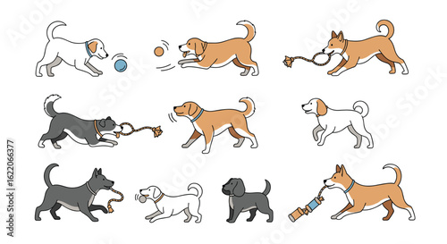 A playful collection of dogs enjoying outdoor activities with their toys demonstrating canine companionship and fun