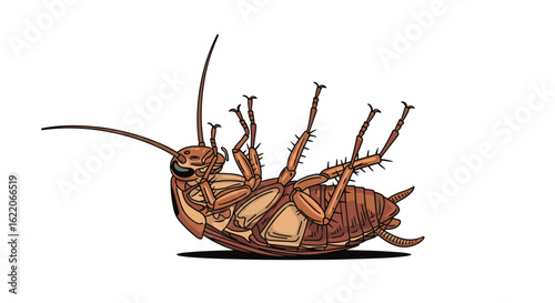 Illustration of a large cockroach lying on its back with its legs in the air