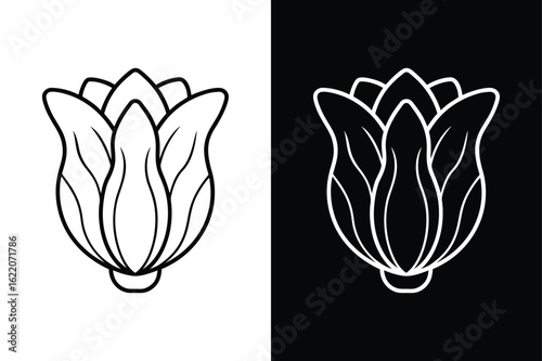 Vector Line Art of Bok Choy. Simple and Stylish Vegetable Symbol
