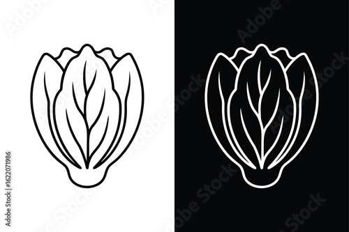 Bok Choy Vegetable Icon. Modern Line Art Style on White Background