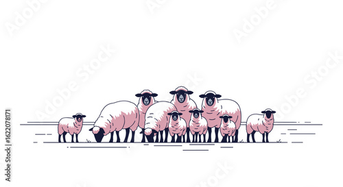 A flock of sheep with fluffy wool standing on a plain field on a white background