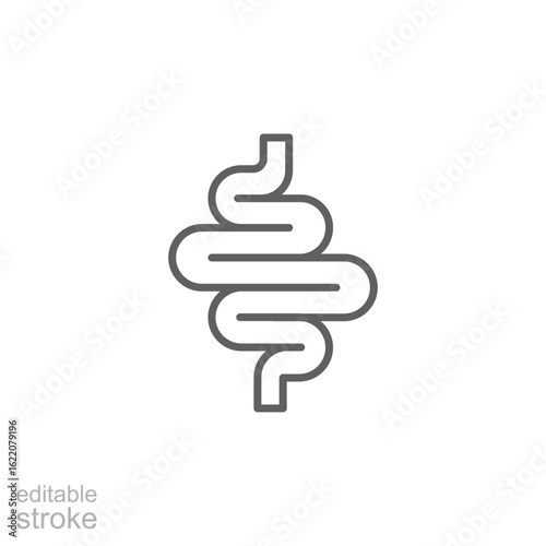 Intestines Icon, Human Digestive Organ, Line Style, Editable Stroke Medical Symbol