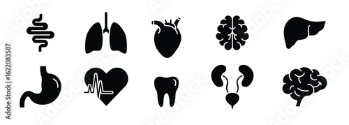 Human Organ Glyph Icon Set, Solid Silhouette of Brain, Heart, Lung, Liver, Intestine, Stomach, Tooth, Urinary System in Black Style for Medical and Anatomy Concept