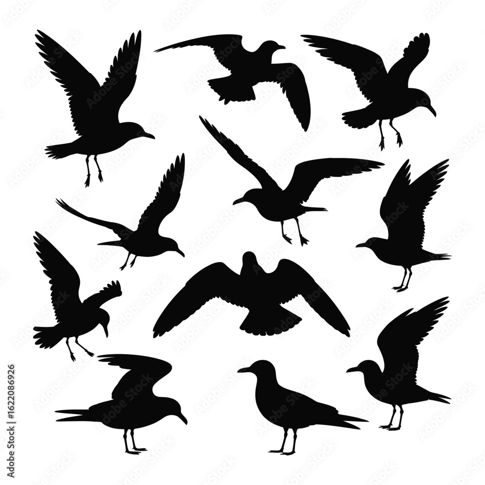 Obraz premium Silhouettes of various seagulls in flight and perched on a white background