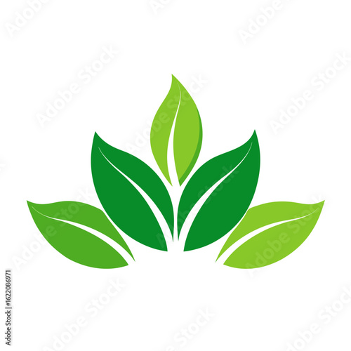 Green Leaves Symbol With White Background leaf nature