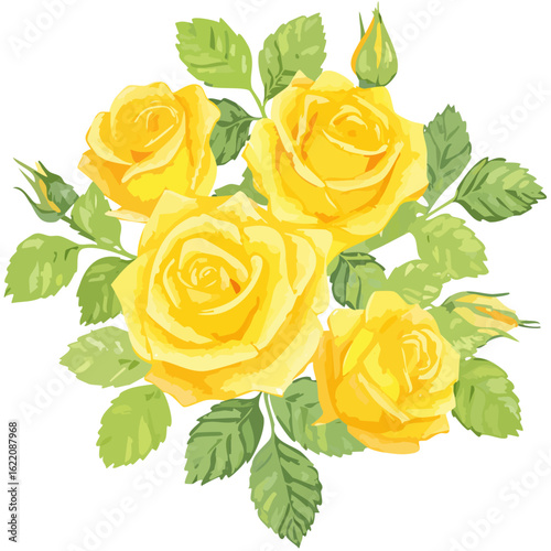 a yellow rose