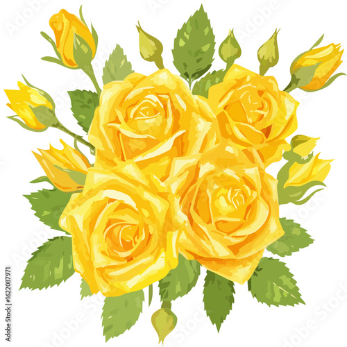 a yellow rose