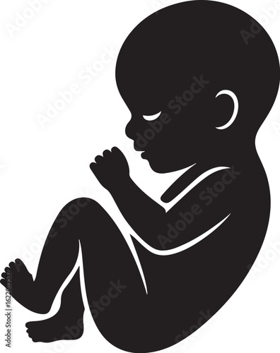 Human Fetus and Baby Silhouette Icons – Newborn & Unborn Vector Illustrations