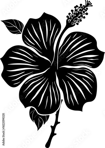 Black and White Hibiscus Flower Line Art Illustration