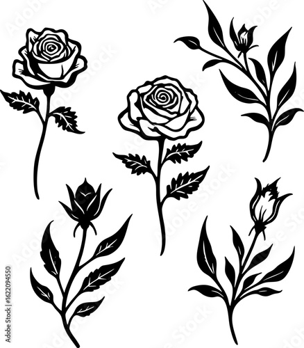 Black and White Rose and Floral Line Art Set