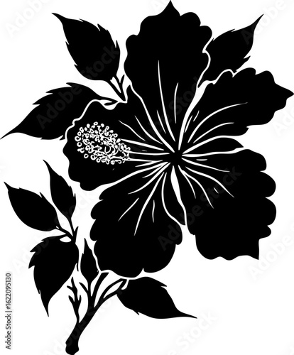 black and white flower