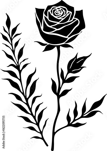 black and white rose vector