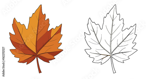 Colorful autumn leaf illustration alongside black and white outline for coloring book for children  
