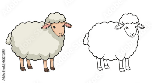 Cartoon sheep character for coloring book for children  