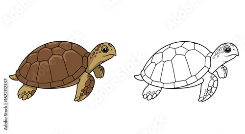 Two turtles, one colored and one outlined for coloring book for children  