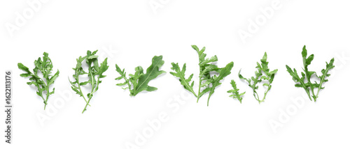 Leaves of fresh arugula isolated on white background