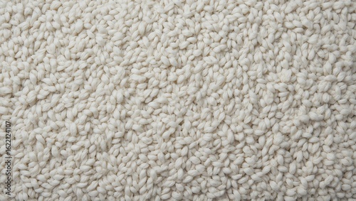 Wallpaper Mural Soft texture of a cozy beige carpet, adding warmth and comfort to any living space in a modern home environment. Torontodigital.ca