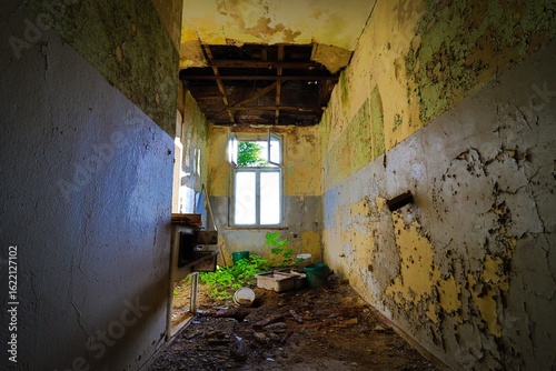Fotografie empty overgrown room with an old cooking station
