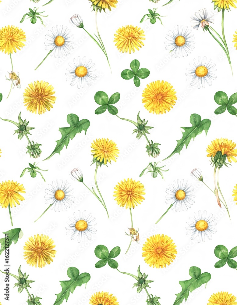 Obraz premium Watercolor Dandelion and Daisy Seamless Pattern