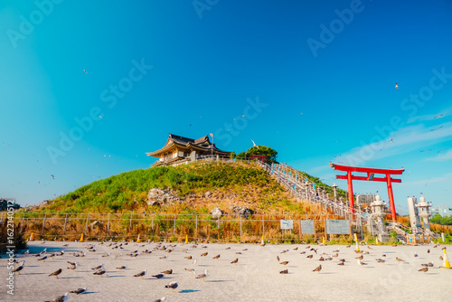 Obraz na plátně The view of Kabushima Shrine with Black-tailed gull in Aomori, Japan