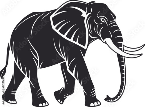 elephant isolated on white
