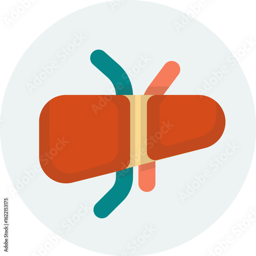 Illustration of a liver with hepatic artery, portal vein, and bile duct, depicted in a simplified, colorful, and modern style.