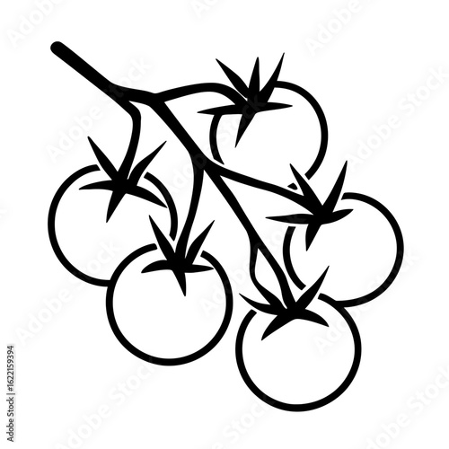 Cherry Tomatoes on the Vine Outline Icon Vector