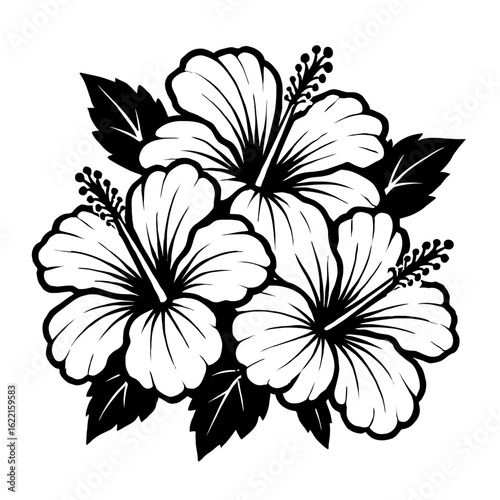 Hibiscus Trio Flowers Vector - Tropical Floral Illustration