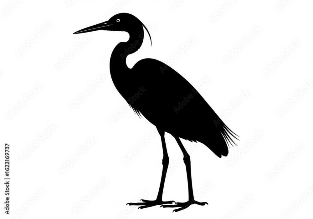 Fototapeta premium Silhouette of a heron standing isolated on white background in vector format