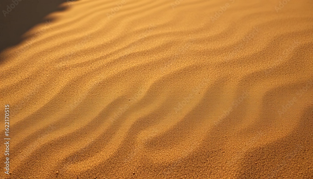 Fototapeta premium Fine desert sand texture, deep shadows cast by unseen object, sun, geology