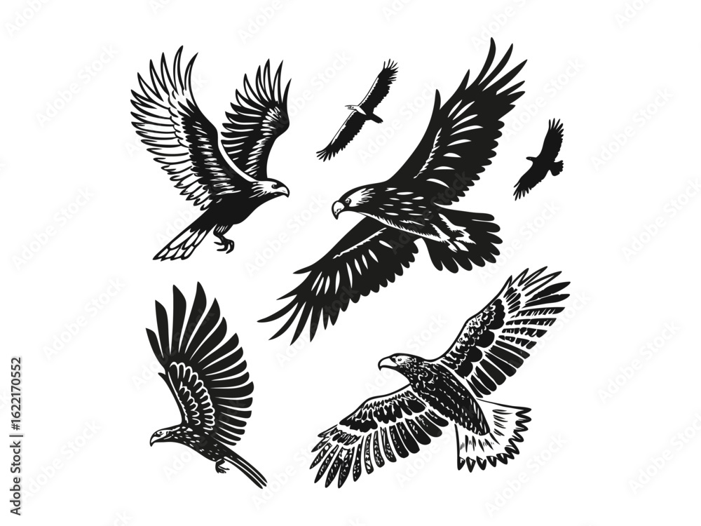 Obraz premium Variety of Black Eagle Vector Bundle | Bird Silhouettes, Wildlife Icons