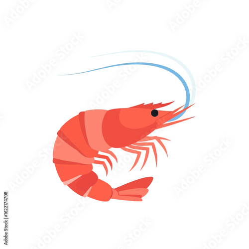 Red shrimp with blue antennae isolated on a white background.