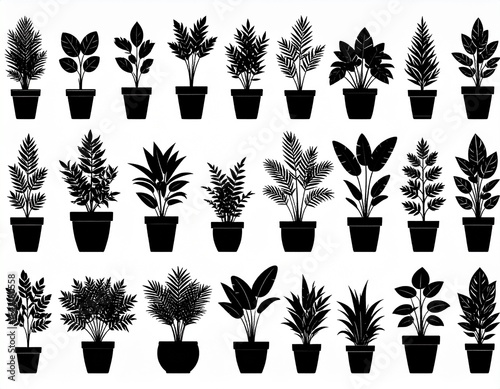 Potted plant silhouettes set. Plants in pots vector illustrations.