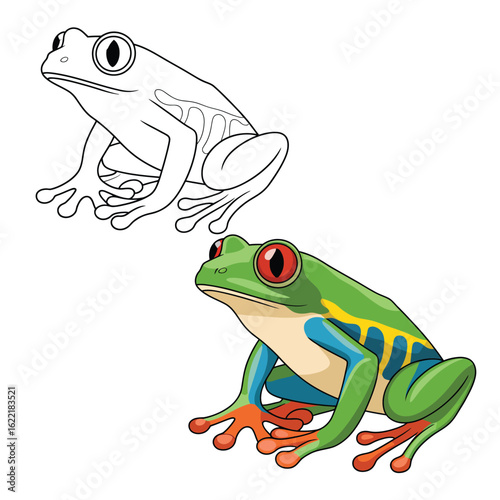 Coloring page outline and colorful red eyed tree frog illustration