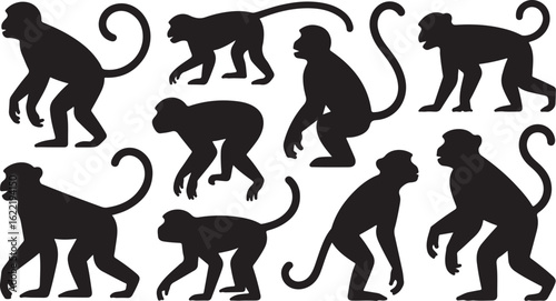 monkey silhouettes