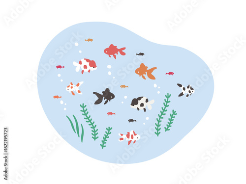 金魚と水草