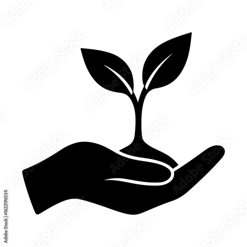 Hand holding a young plant seedling symbolizing growth and new beginnings