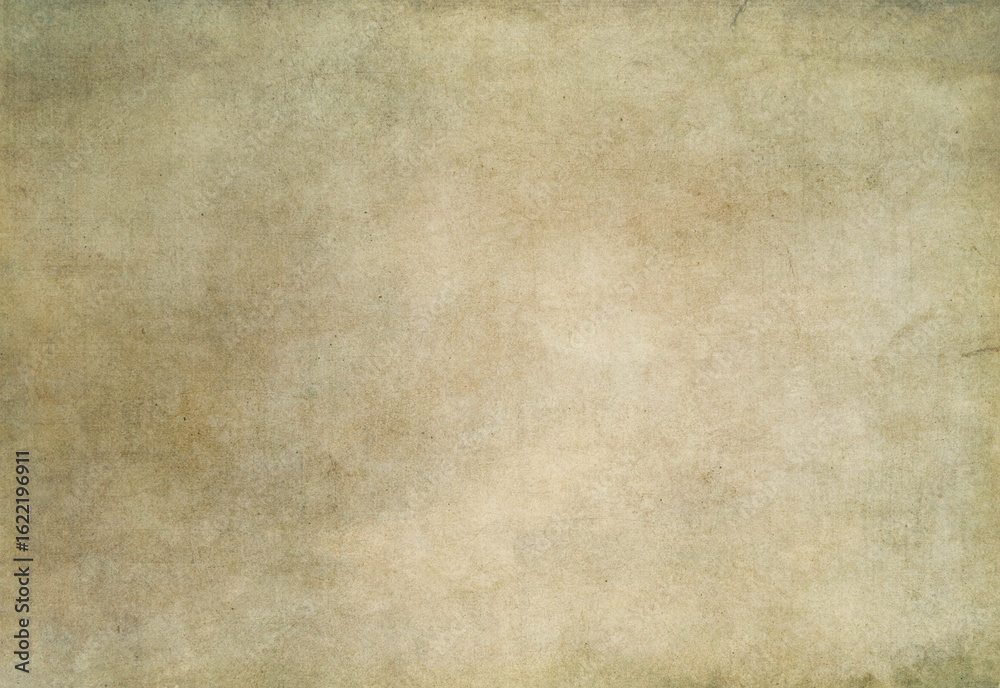 Fototapeta premium Grunge paper texture for background design.