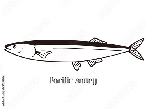 白黒のシンプルな秋刀魚のイラスト
