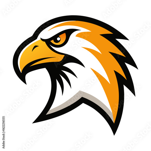 eagle head vector illustration