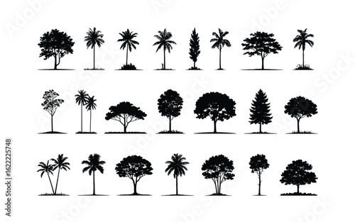Silhouette Tree Vector Set: Assorted Tree Silhouettes, Palm Trees, and Evergreen for Landscape Designs, Nature-Themed Graphics, and Creative Projects