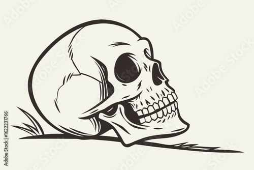 skull and crossbones