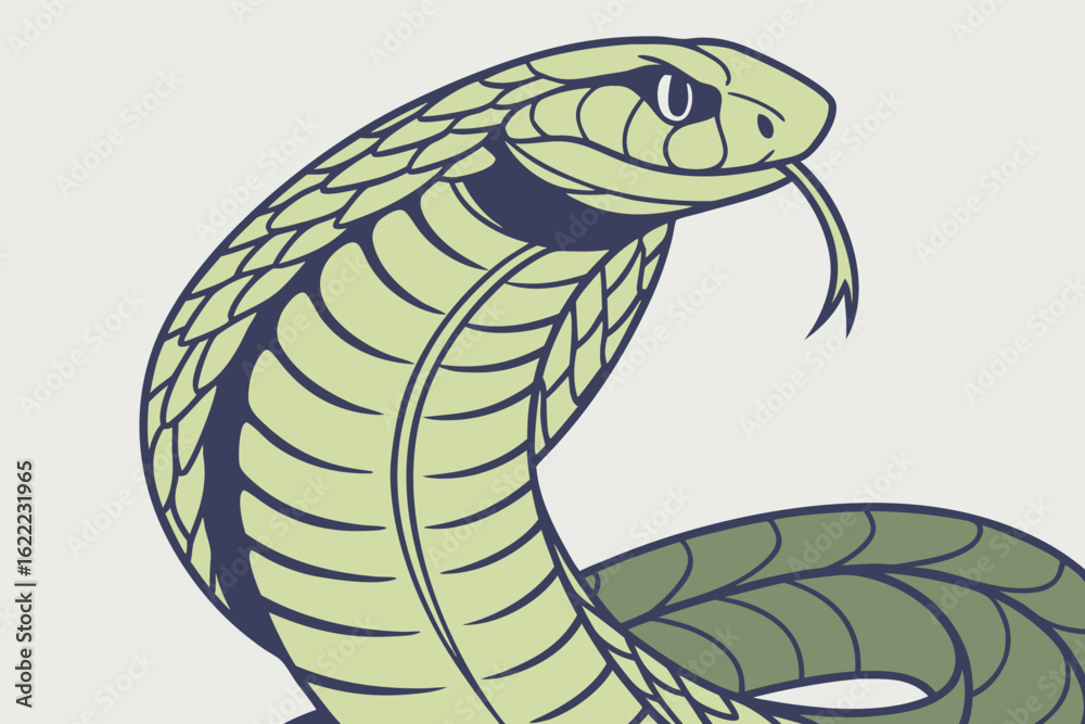 Fototapeta premium snake on a white background