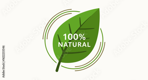 Natural Leaf Icon for Eco Friendly Products