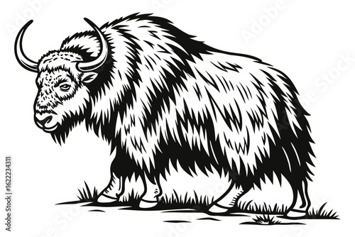 vector illustration of a wild boar