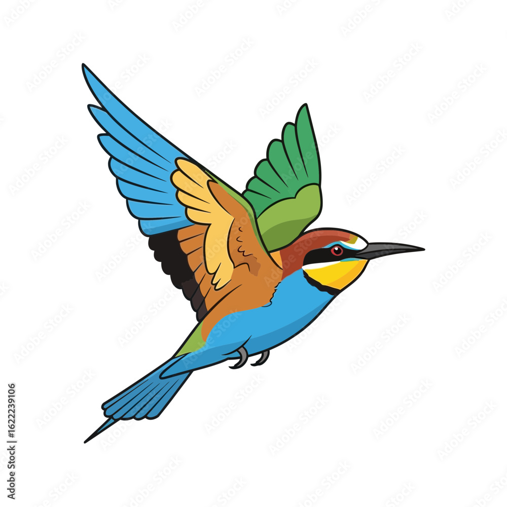 Obraz premium Colorful bird with outstretched wings flying against a white background.