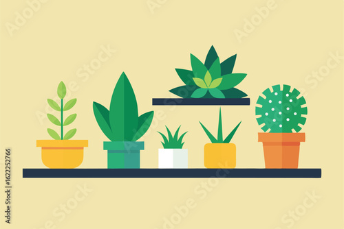 cactus in a pot